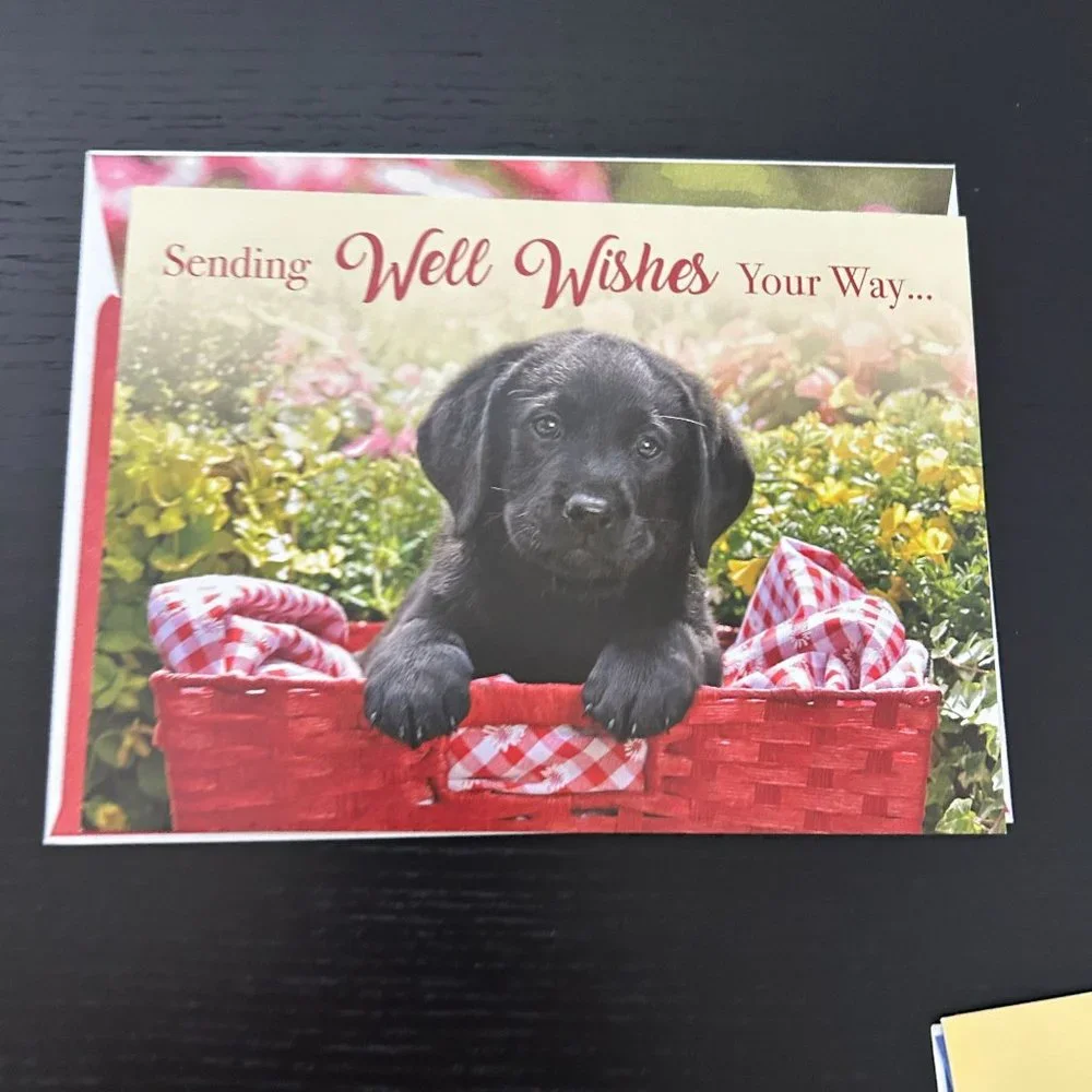Mixed Lot of 28 Greeting Cards w/ Envelope Dogs Puppies Cats Kittens and Birds